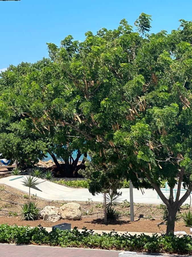 Апартаменты Whitehouse Boulevard, Close To Mambo Beach And City Centre Виллемстад Экстерьер фото